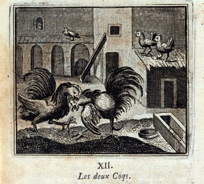 Ambos os galos. Fábulas de Jean de La Fontaine (1621-95). Ilustração de François Chauveau (1613-1676). Edição de 1728. de Francois Chauveau