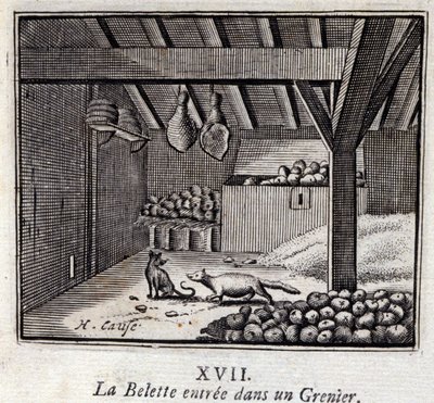 La Weasette entrou num Grenier. Fábulas de Jean de La Fontaine (1621-95). Ilustração de François Chauveau (1613-1676). Edição de 1728. de Francois Chauveau