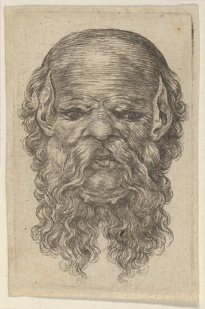 Floresta. de Francois Chauveau