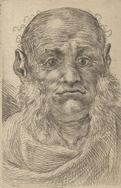 Floresta. de Francois Chauveau