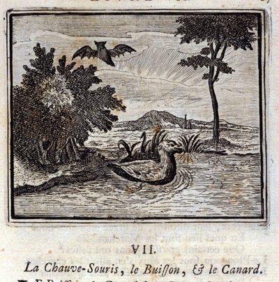 O Morcego, o Bush e o Pato. Fábulas de Jean de La Fontaine (1621-95). Ilustração de François Chauveau (1613-1676). Edição de 1728. de Francois Chauveau