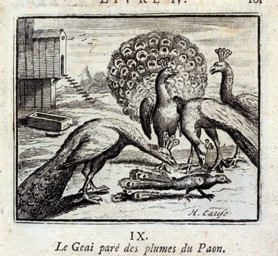 O Jay adorna as penas do pavão. Fábulas de Jean de La Fontaine (1621-95). Ilustração de François Chauveau (1613-1676). Edição de 1728. de Francois Chauveau