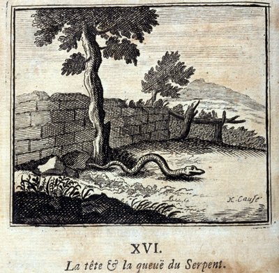 A cabeça e a cauda da Serpente. Fábulas de Jean de La Fontaine (1621-95). Ilustração de François Chauveau (1613-1676). Edição de 1728. de Francois Chauveau