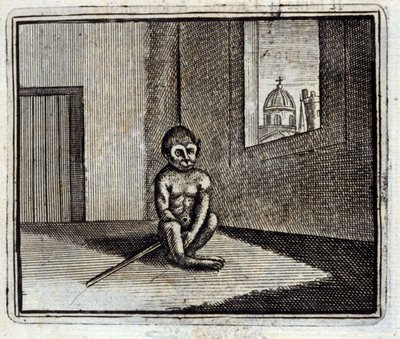 O macaco. Fábulas de Jean de La Fontaine (1621-95). Ilustração de François Chauveau (1613-1676). Edição de 1728. de Francois Chauveau