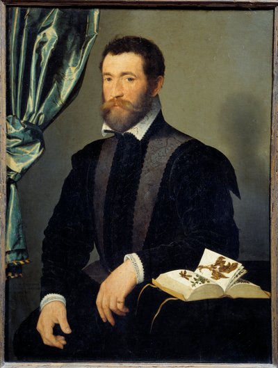 Retrato do boticário Pierre Quthe (1519-apres 1588) Pintura de François Clouet (1515-1572) 1562 Sol. 0,91x0,7 m - Retrato do boticário Pierre Quthe (1519- ca1588). Pintura de François Clouet (1515-1572) de François Clouet