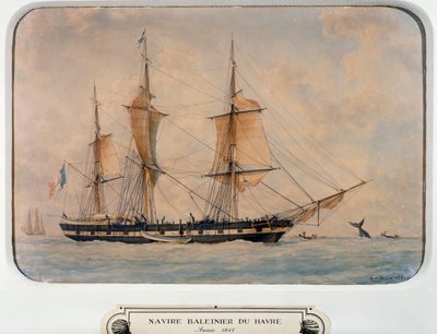 Navio baleeiro em Havre de Francois Geoffroy Roux