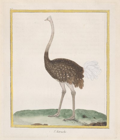 Floresta. de Francois Nicolas Martinet