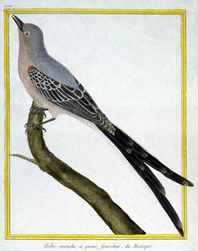Azulejos de Francois Nicolas Martinet