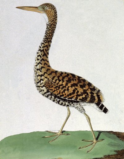 Honra de Francois Nicolas Martinet