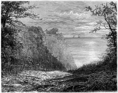 Os penhascos de giz no Königsstuhl, Rügen, Alemanha, século XIX. de Francois Stroobant