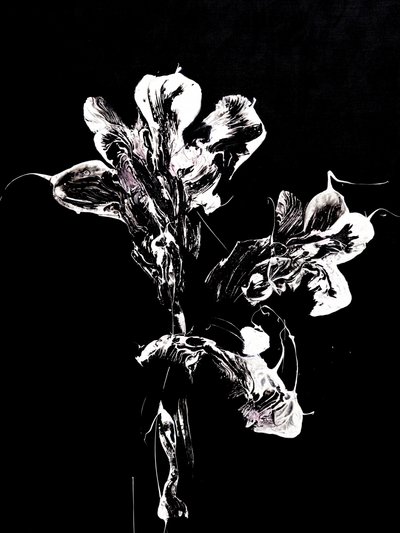 Flores escuras e fluidas de Françoise Wattré