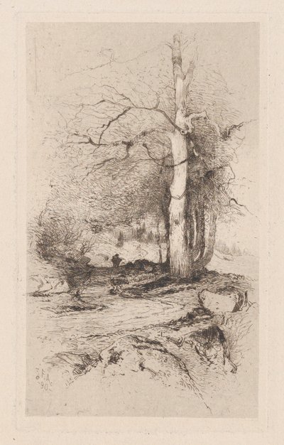 Floresta. de Frank Anderson