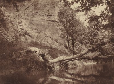 Margem do rio, c. 1855 (foto) de Frank Chauvassaigne