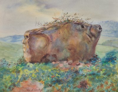 A Pedra do Cavalo Branco de Frank Cowley