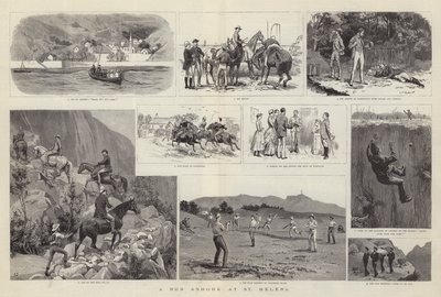 Uma corrida em terra em Santa Helena de Frank Dadd