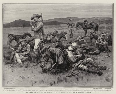 O cuidado de cavalos na África do Sul, fagged em uma marcha forçada de Frank Dadd