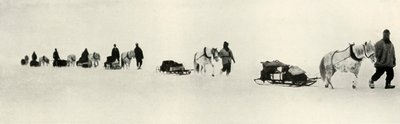 Pôneis em março de 1911, 1913 de Frank Debenham