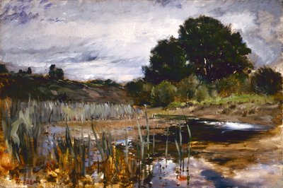 Paisagem de votação de Frank Duveneck