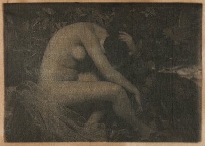 A cigarra de Frank Eugene