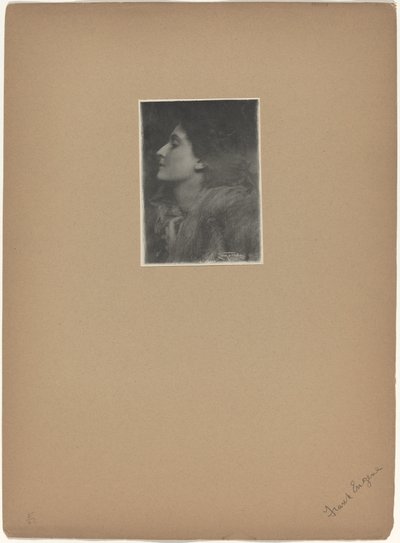 Senhora de Charlotte de Frank Eugene