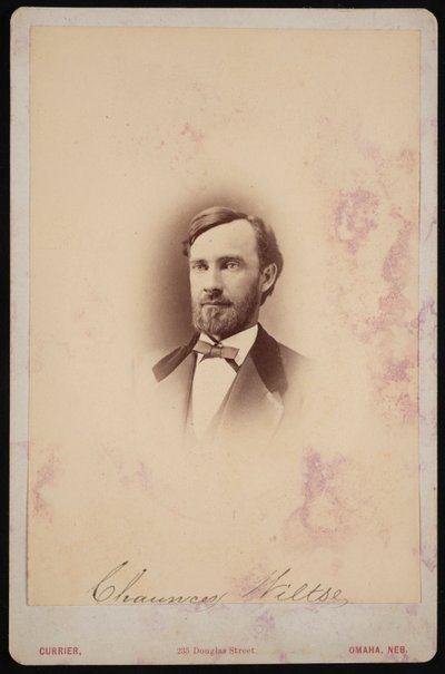 Retrato de Chauncey Wiltse 1834-1894, 1875-1876. de Frank F Currier