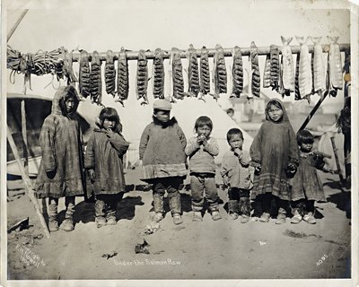 Debaixo da Fileira do Salmão de Frank H. Nowell
