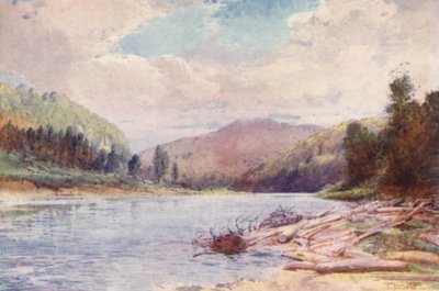 Nova Zelândia: Below the Junction of the Buller and Inangahua Rivers (litografia a cores) de Frank H Wright