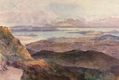 Nova Zelândia: Coromandel (litografia a cores) de Frank H Wright