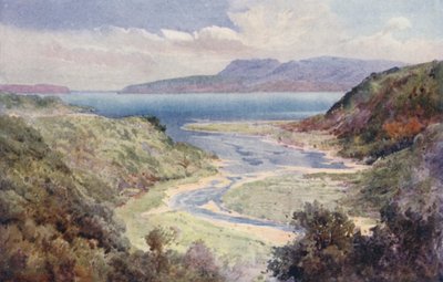 Nova Zelândia: Lago e Monte Tarawera (litografia a cores) de Frank H Wright