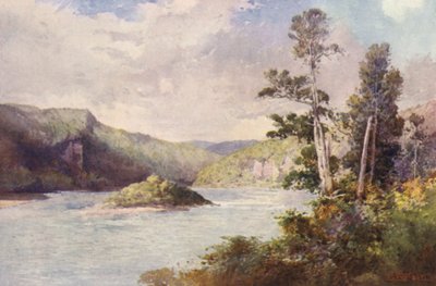 Nova Zelândia: White Cliffs, Rio Buller (litografia a cores) de Frank H Wright