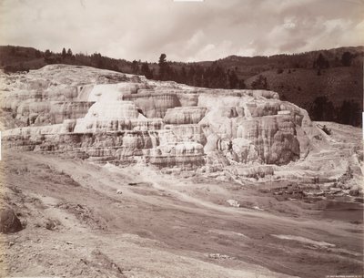 Minerva Terrace, Mammoth Hot Springs de Frank Jay Haynes