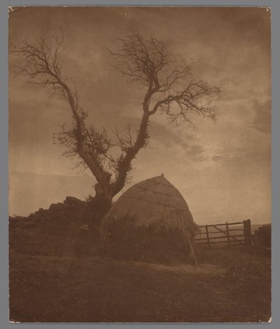 Ponte Egton em Whitby bij zonsondergang
O toque de recolher do Sol (título sobre o objecto) de Frank Meadow Sutcliffe
