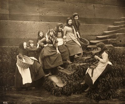 Mulheres, esperando, para, a, dias, apanhar, whitby, porto, yorkshire norte, c.1899 de Frank Meadow Sutcliffe