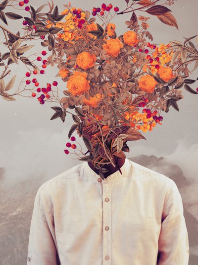Flores Brilhantes de Frank Moth