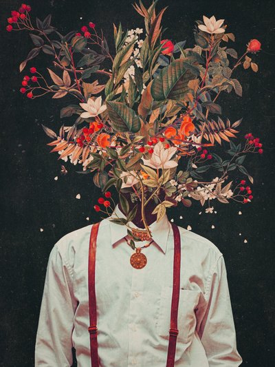 Foliagem, de Frank Moth de Frank Moth