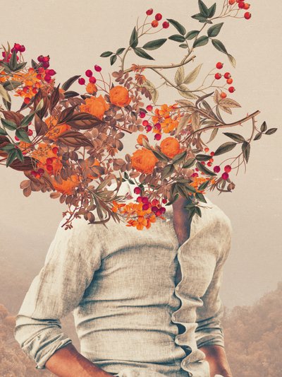 Roots Bright de Frank Moth