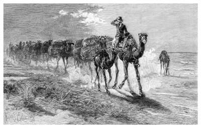 Camelos com lã, 1886. de Frank P. Mahony