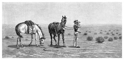 Nada à vista, 1886. de Frank P. Mahony