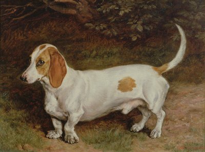 Meu Dachshund Favorito, 1885 de Frank Paton