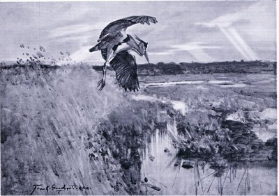 Jack Harnser-Heron de Frank Southgate