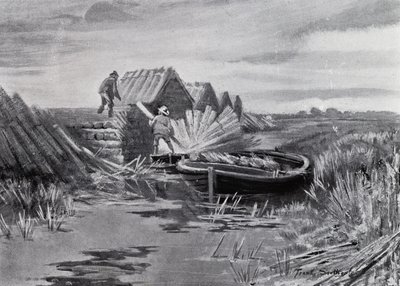 Norfolk Broads: Reed-Stacking (litho) de Frank Southgate