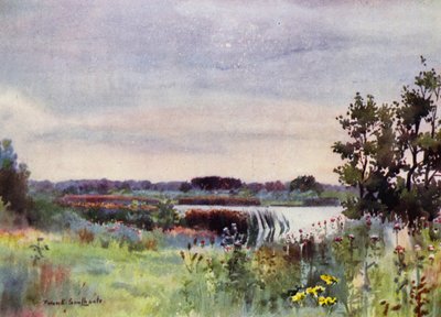 Norfolk Broads: Salhouse Great Broad (cor litho) de Frank Southgate