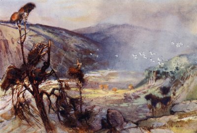 Tempestade nos Cheviots (cor litho) de Frank Southgate