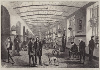 O hospital real de Bethlehem, a galeria para homens de Frank Vizetelly