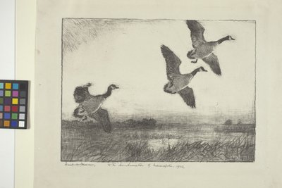 Três gansos (tinta sobre papel) de Frank Weston Benson