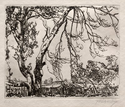 Árvore de maçã de Frank Wilcox