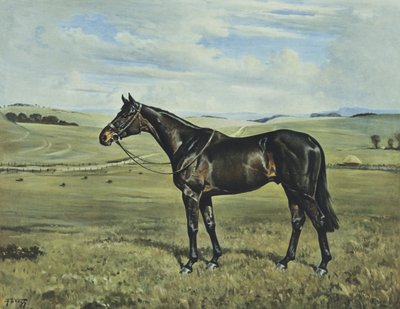 "Drimore Lad de Franklin Brooke Voss