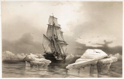 Corvettte "La Recherche" perto da Ilha do Urso no dia 7 de Agosto de François Auguste Biard