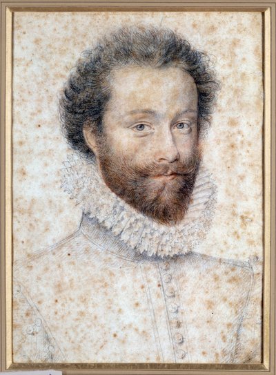 Retrato do desconhecido talvez Luís I, Príncipe de Conde de François Clouet