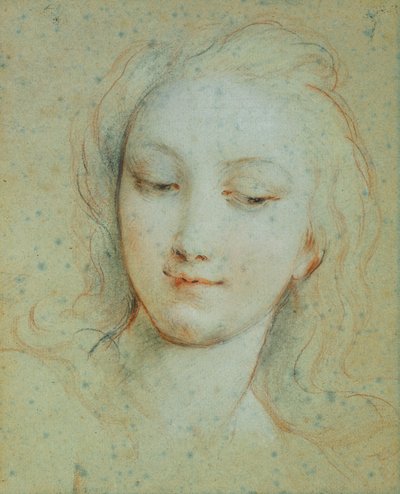 A cabeça de Vênus de François Lemoyne